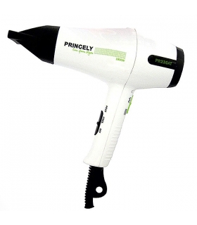 سشوارحرفه ای پرنسلی مدل پی ار237 ای تی  Princely Dreyer PR237AT