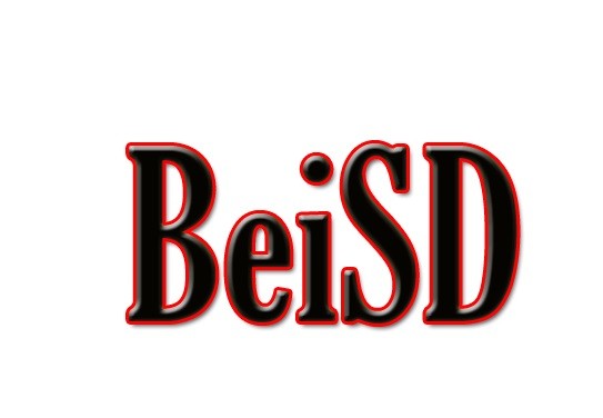بی اس دی (BeiSD)