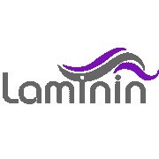 لامینین (Laminin)
